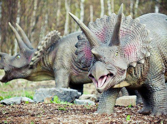 Familienunterhaltungspark